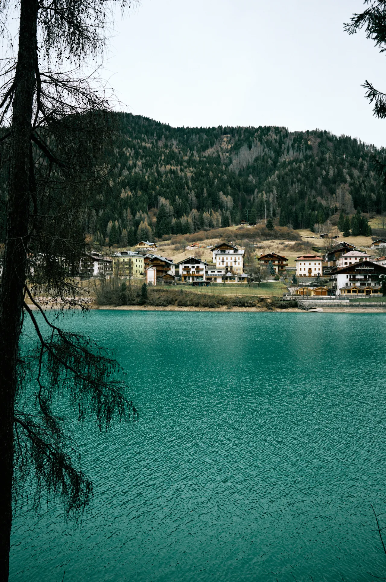 Auronzo 2026